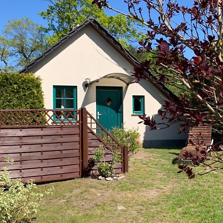 „Rentmeisterhaus Basedow“ Basedow  외부 사진
