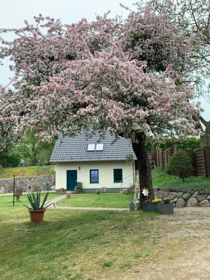 „Rentmeisterhaus Basedow“ Basedow  외부 사진