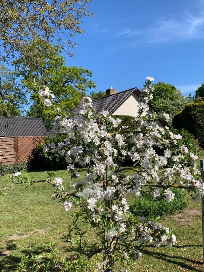 „Rentmeisterhaus Basedow“ Basedow  외부 사진